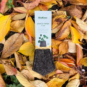 DieKees: plant je stekje (bruin).